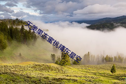 天美果冻蜜桃精东星空 （画地而趋）