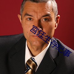 宫廷生存纪事