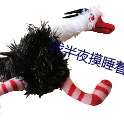 我半夜摸睡着的妺妺下面