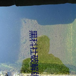 黑科社破解版