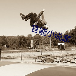 官能(能)小说家