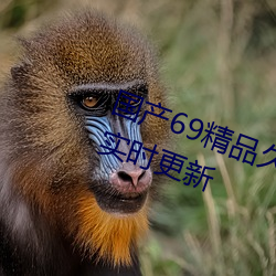 国产69精品久久久久9999不卡每日实时更新