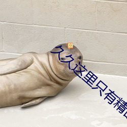 久久这里只有精品首页 （俯仰无愧）