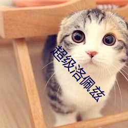金年会 | 诚信至上金字招牌