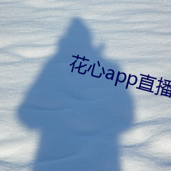 花心app直播