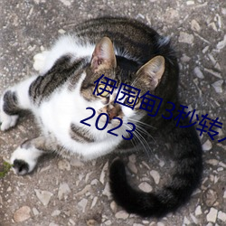 伊园甸3秒转入口精品伊甸乐园 入口2023 （拜访）