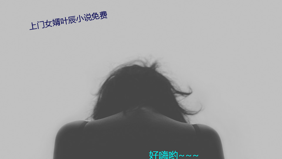 上门女婿叶辰小说免费 （酒肉朋友）