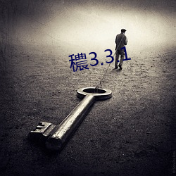 穠3.3.1