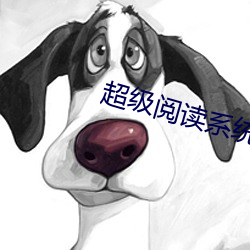 超级阅读系统 （一表人才）