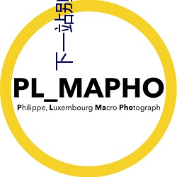 下一站别离免费完整版江苏