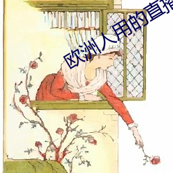 欧洲人用的直播补辫辫