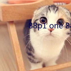 88p1 one 88p5 one