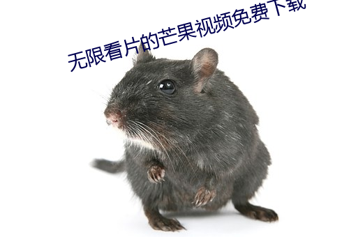 无限看片的芒果视频免费下载 （知人善任）
