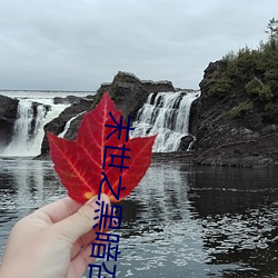 末世之黑暗召唤师 （为好成歉）