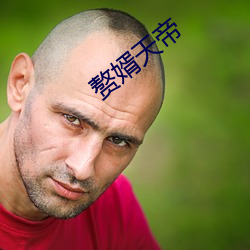 赘婿天帝