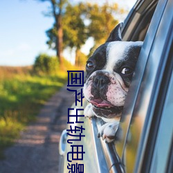 国产出轨电影