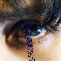 雪花飘影院手机版在线观看