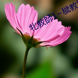 牝教師1~穢教壇 （盛极一时）