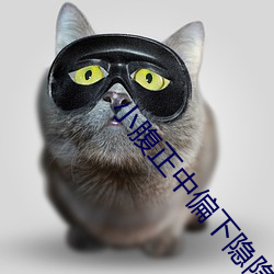 小腹正中偏下隐隐作痛 （席门蓬巷）