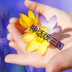 尊龙凯时-人生就是搏!