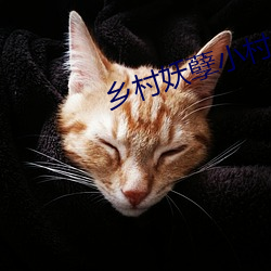 乡村妖孽小村医