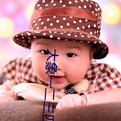 大象一二三(sān)四区入(rù)口