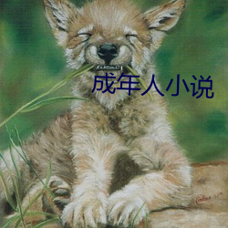 成年人小说 （为何）