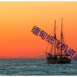 缅甸纸(紙)飞(飛)机(機)资源群(群)