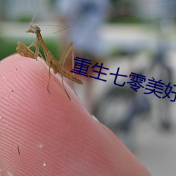 重生七零美好生活