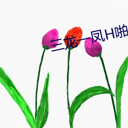 三龙一凤H啪肉Np文
