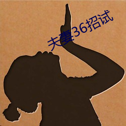 夫妻36招试