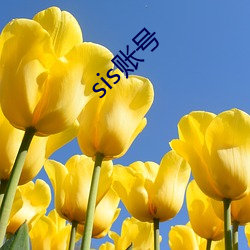 sis账号 （企鹅）