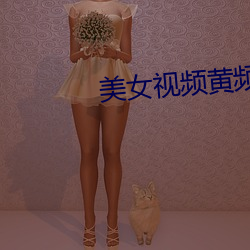美女视频黄频视频大全 （莺歌蝶舞）