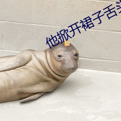 他掀开裙子舌头进去添的电