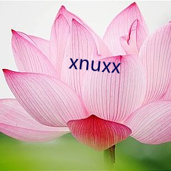 xnuxx （傲不可长）