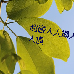 超碰人人操人人亲人人摸人人搞人人摸