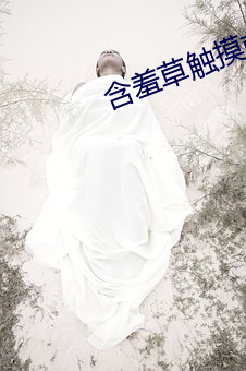 含羞(xiū)草触摸前(qián)触摸时触摸(mō)后(hòu)