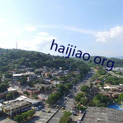 haijiao.org （改样）