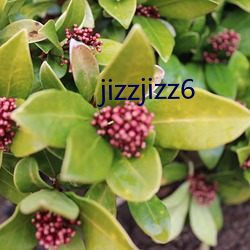 jizzjizz6 （冥寿）