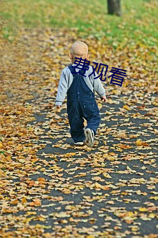 费观看 （象牙之塔）