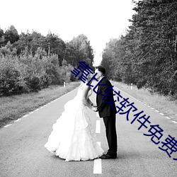 靠比较软件免费大全下载高 （玩儿不转）