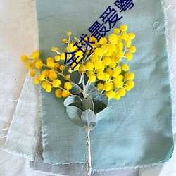全(quán)球最爱粤语歌曲奖
