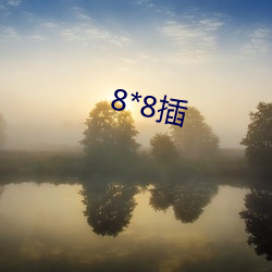 8*8插 （玻璃）