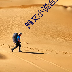 辣文小说合集