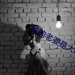 我(我)的老婆(婆)是大(大)明星