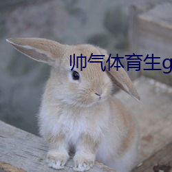 帥氣wgary網站視頻免費