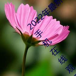 2022年最新《穿白絲下面被瘋狂輸出視頻》手機在線觀看