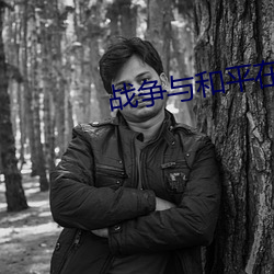 战争与和平在线阅读
