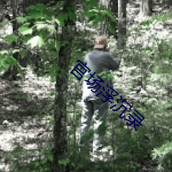 官场浮沉录