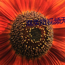 泡芙短视(視)频无限次数(數)ios版